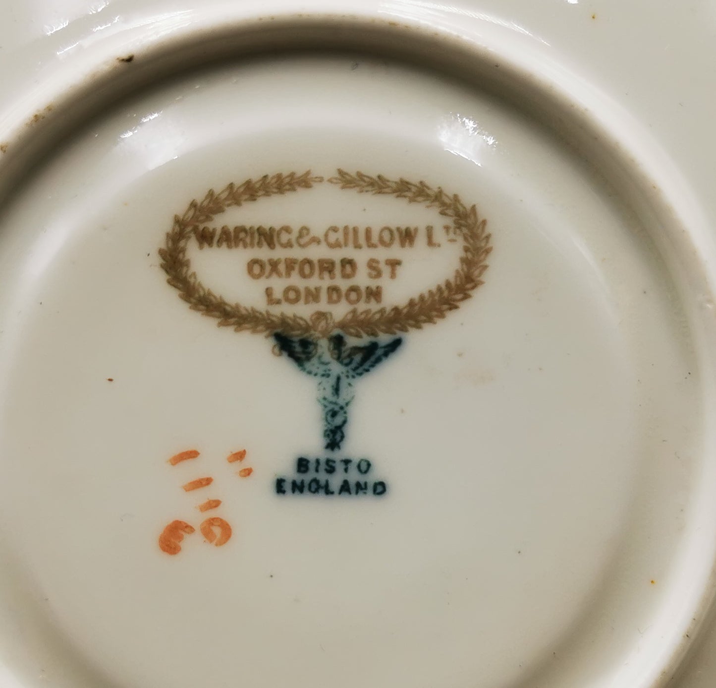 Bishop and Stonier Bisto Ironstone Floral China 1110 Teacup and Saucer