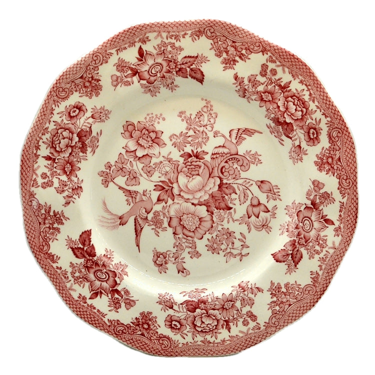 Royal Tunstall Red and White China Asiatic Pheasant Dinner Plate