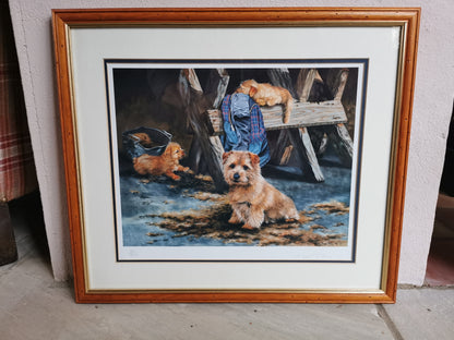 Pippa Thew Norfolk Terriers Signed Limited Edition Print