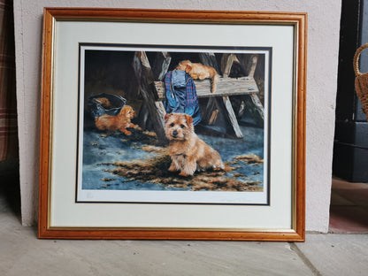 Pippa Thew Norfolk Terriers Signed Limited Edition Print