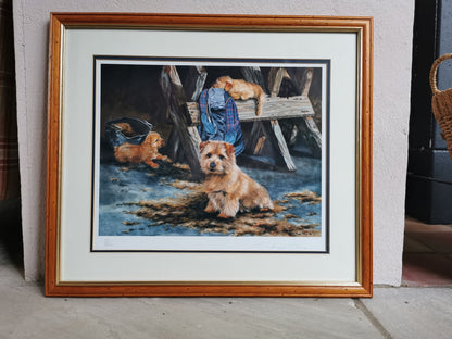 Pippa Thew Norfolk Terriers Signed Limited Edition Print