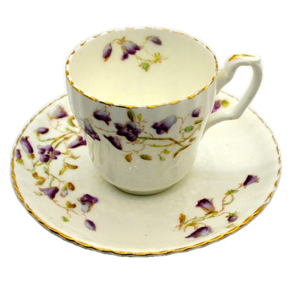 William Alsager Adderley China Teacup & Saucer Spray No 108