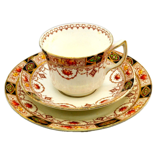 Salisbury China Bradleys Wyn Teacup Trio 