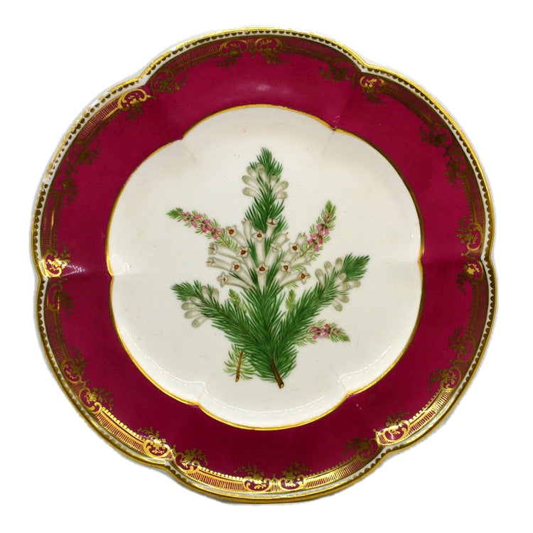 Antique Botanical Floral China Display Plate – Vintage Farmhouse Antiques