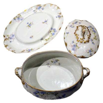 Gerard, Dufraisseix & Abbott Limoges Antique china