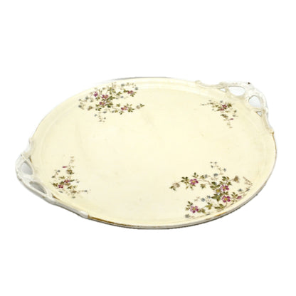 Antique Haviland Porecelain Floral China tray