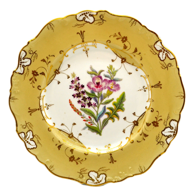 Antique John Ridgway China Gloucester Shape Dessert Plate 1814-1830 No1