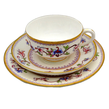 Antique Royal Worcester B800 Floral China Teacup 1905