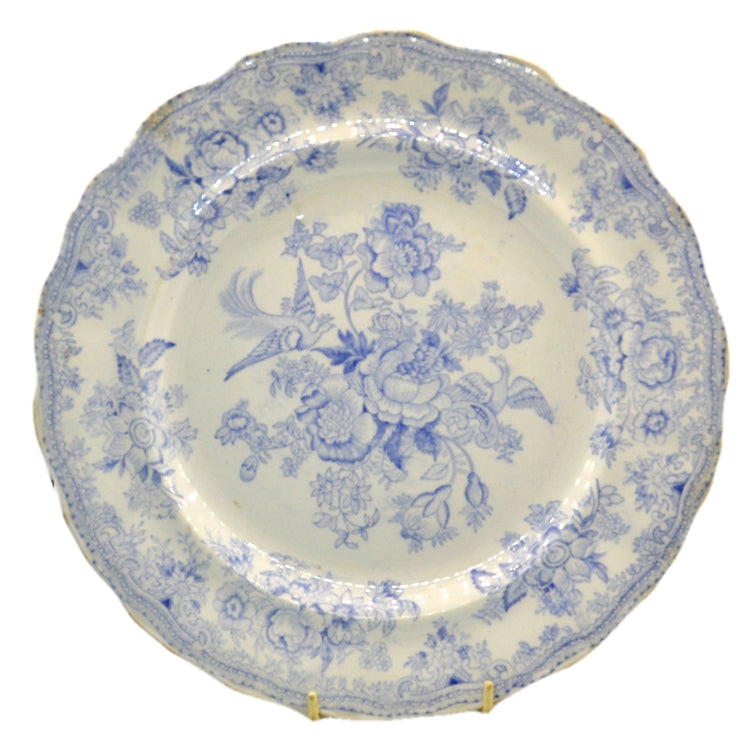 Antique Asiatic pheasants plate