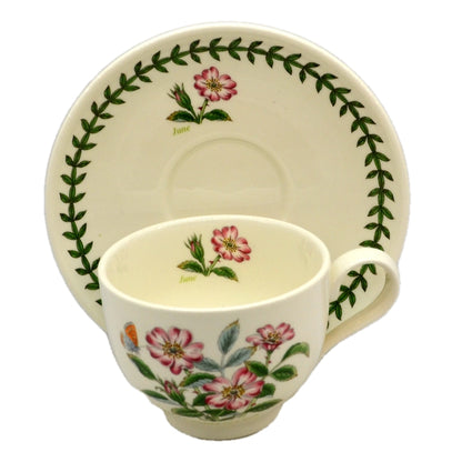 Portmeirion Botanic Garden China Cup and Saucer Rosa Canina