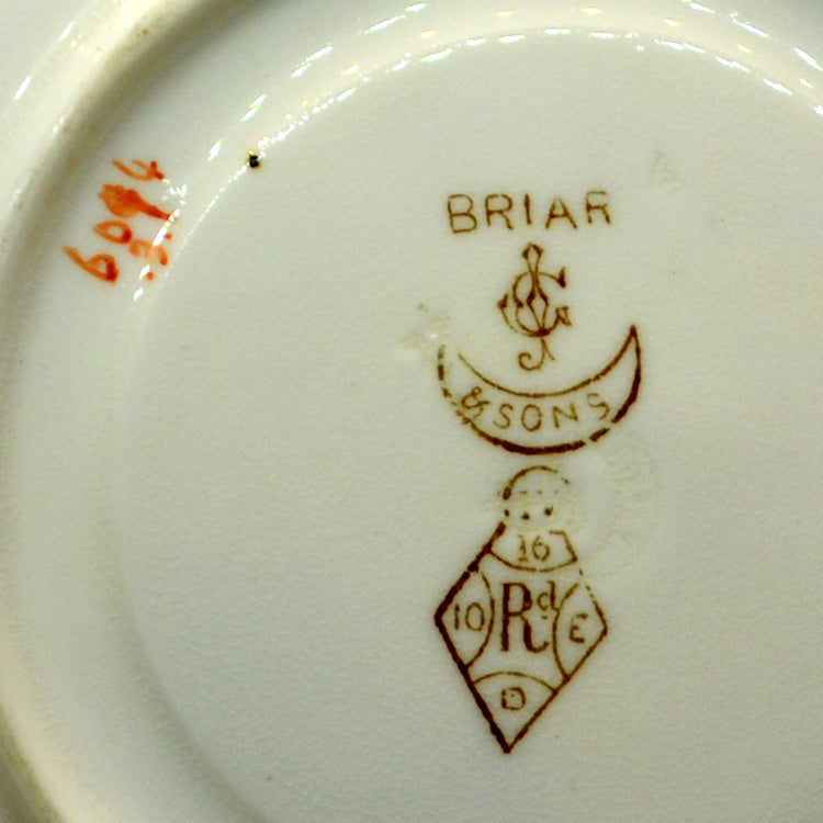 Antique George Jones & Sons Briar 6094 Cup Saucer & Side Plate 1881