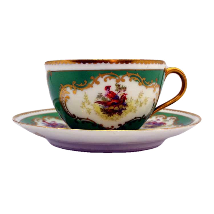 Continental china Ornithological tea cup and saucer set