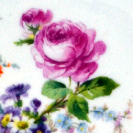 detail of the plate design on antique china