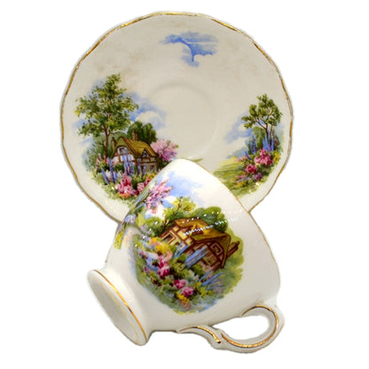 Royal Vale Ridgway Bone China Teacup & Saucer Cottage Garden