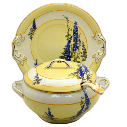 Tams Ware Floral Delphimium China 1465 Sauce Tureen Set