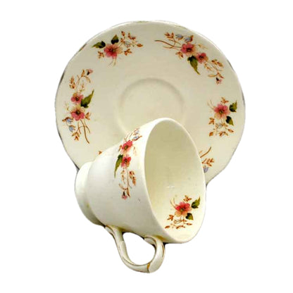 Duchess China 316 Glen Teacup & Saucer