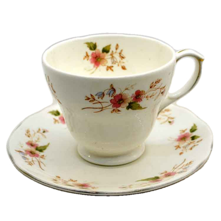 Duchess China 316 Glen Teacup & Saucer