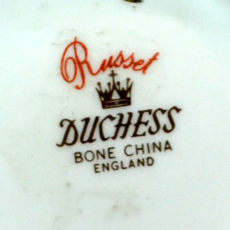 Duchess Bone China Russet pattern half pint Milk Jug