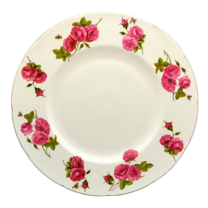 Vintage Elijah Bain Foley Bone China dinner plate