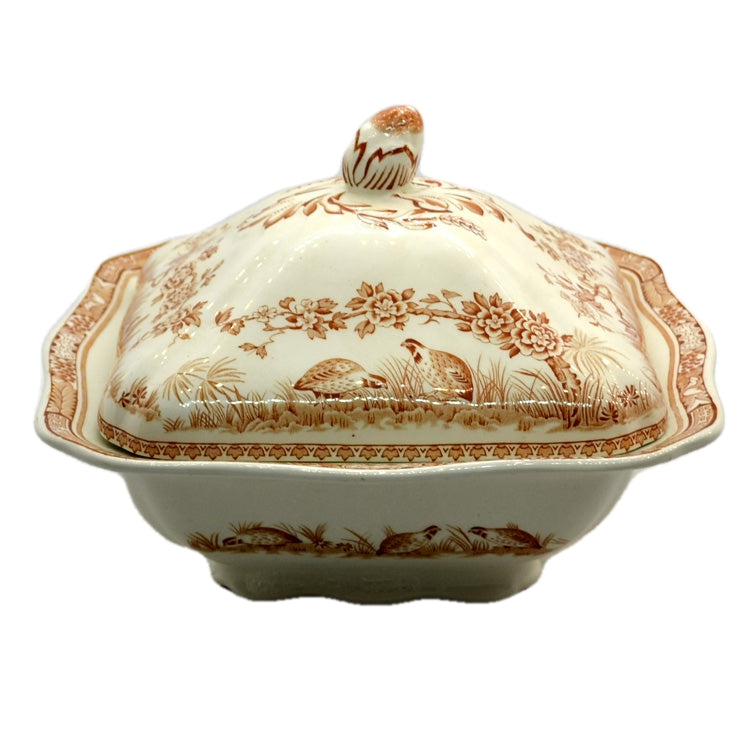 Furnivals Quail Brown & White China Tureen and Lid Rd 684771