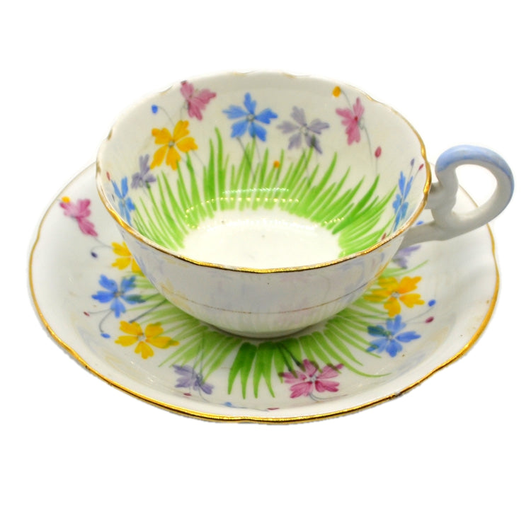 A B Jones & Sons Grafton Floral China Teacup patern 6504