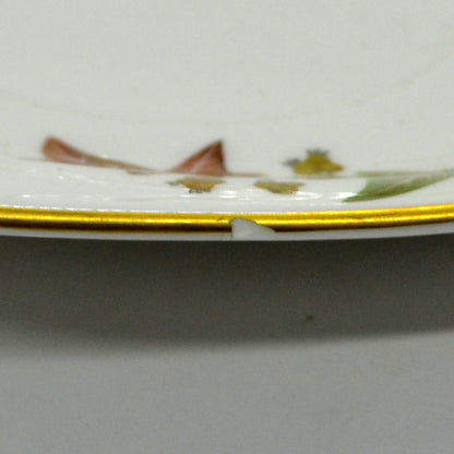 rim chip on gravy boat saucer