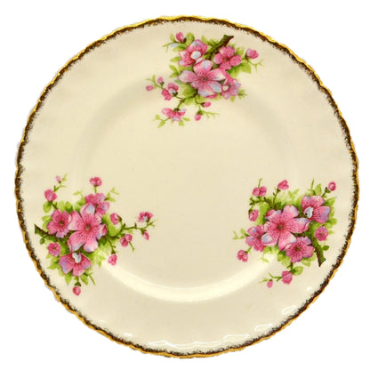 W H Grindley Cream Petal China Apple Blossom Side Plate 1936-1954