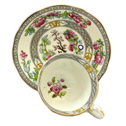 Aynsley China Indian tree Teacup 