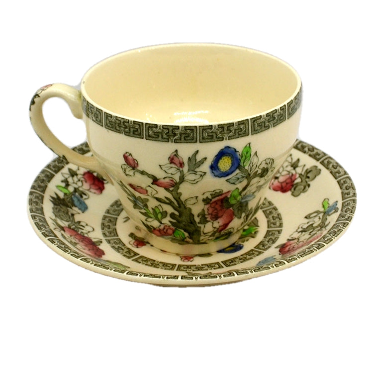Johnson Brothers China Indian Tree Teacup and Saucer