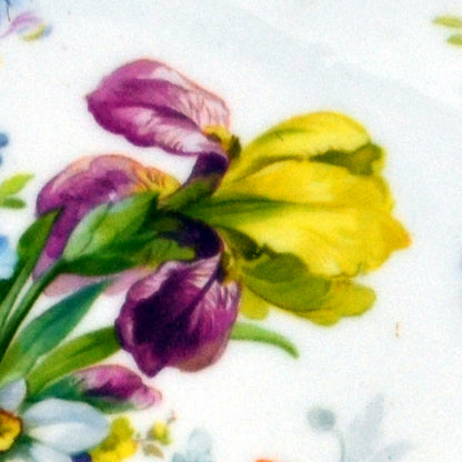 vintage china floral iris design