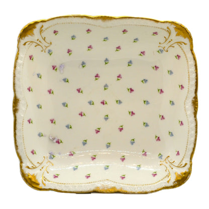 Bourganeuf Antique Limoges Floral Bone China Dish