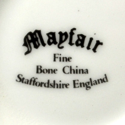 Mayfair Floral China Apline Flowers Teacup and Saucer