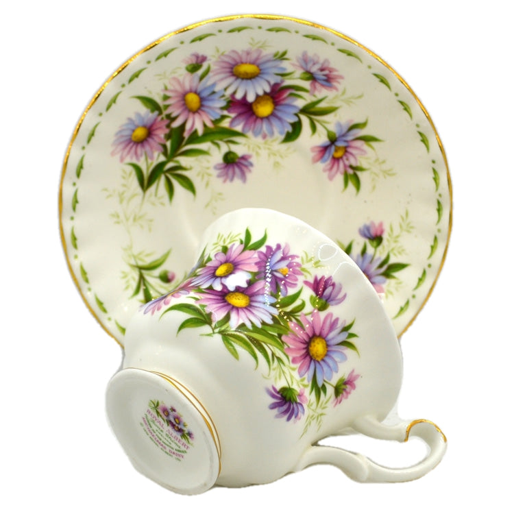  Michaelmas Daisy September Royal Albert china