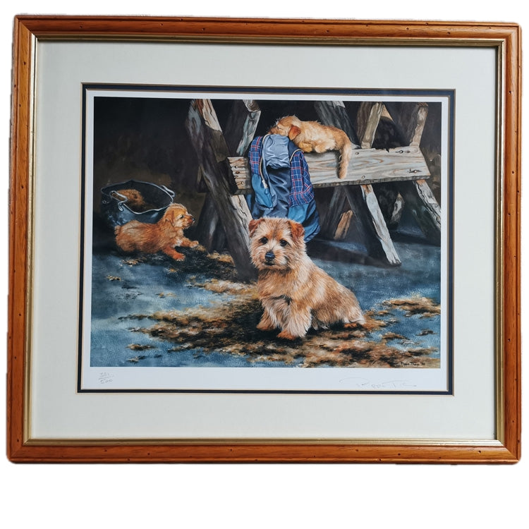 Pippa Thew Norfolk Terriers Signed Limited Edition Print