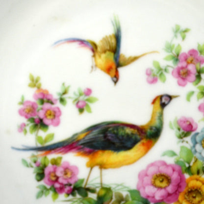 Porcelain China Serving Bowl with Oriental Birds