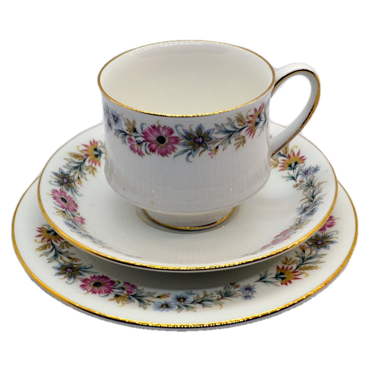 Paragon Afternoon Teacups Saucers set of store vintage bone china pattern Belinda