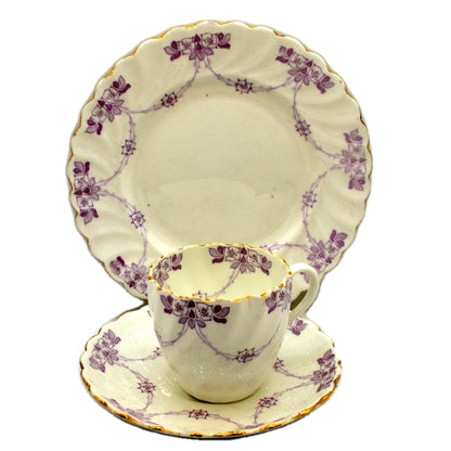 Antique Paragon Floral China Teacup Trio Pattern 2350