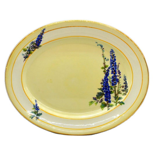Tams Ware Floral Delphimium China 1465 12-inch Platter
