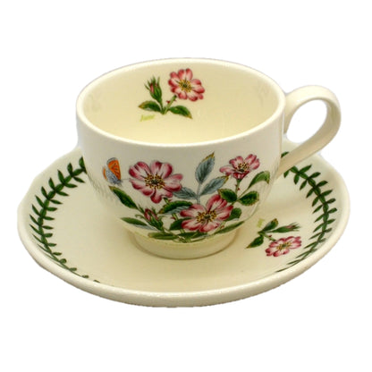 Portmeirion Botanic Garden China Cup and Saucer Rosa Canina