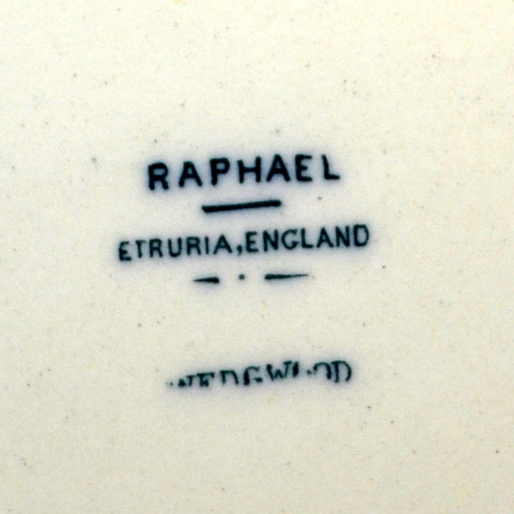 Wedgwood China Raphael Oval Blue and White Platter