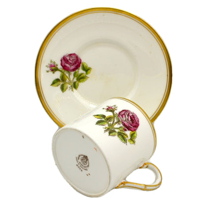 Royal Worcester China Rose Cup and Saucer 1959