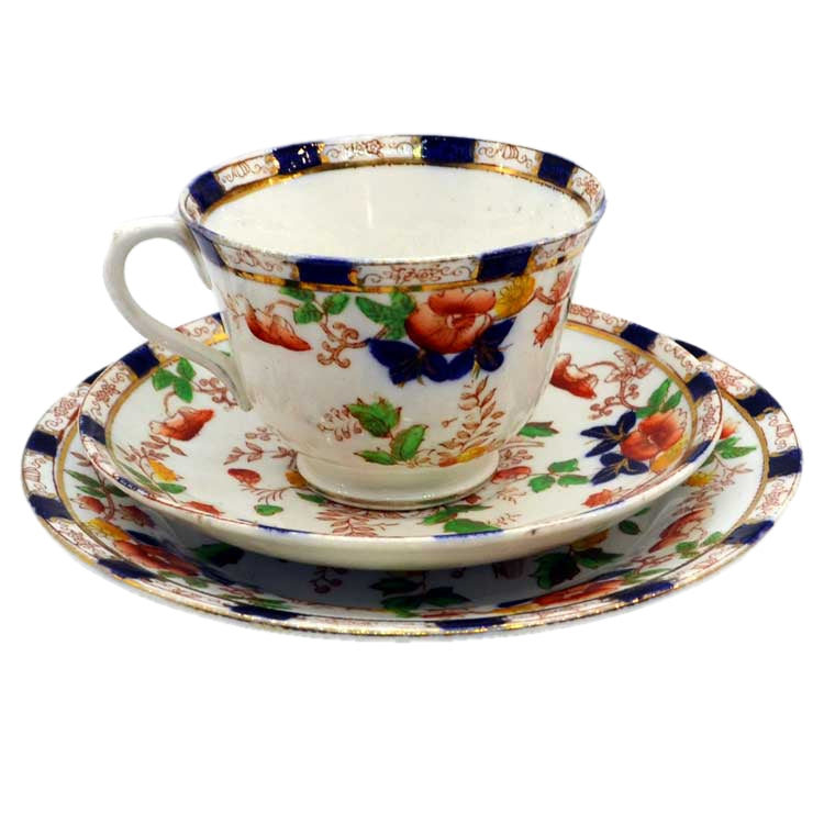 royal albion china burmah pattern tea cup saucer and plate set