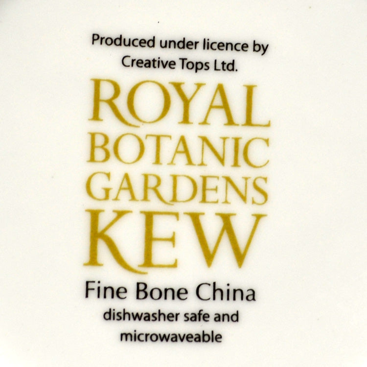 Royal Botanic Garden Kew Porcelain China Rose Mug