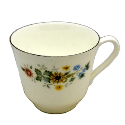 Royal Doulton Pastorale China Teacup