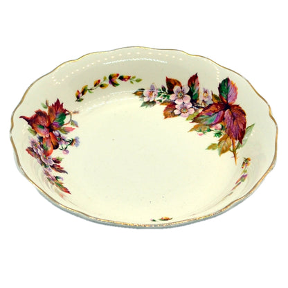 wilton pattern royal doulton soup bowls