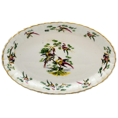 Royal Stafford China Oval Asiatic Birds Tray Dish