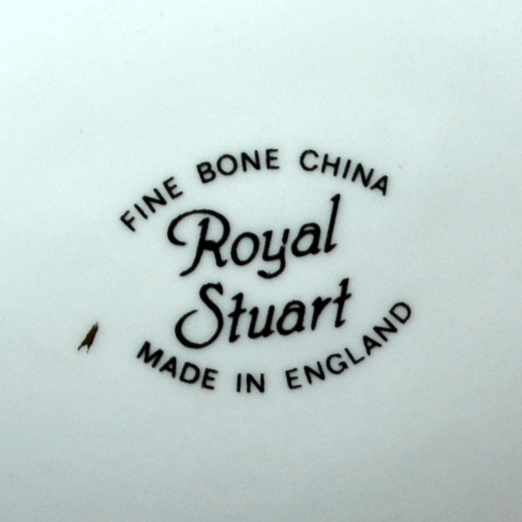 Royal Stuart Vintage Floral China Teapot