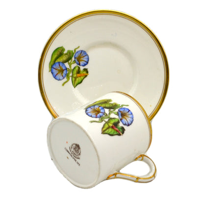 Royal Worcester China Convulvulus Cup and Saucer 1959