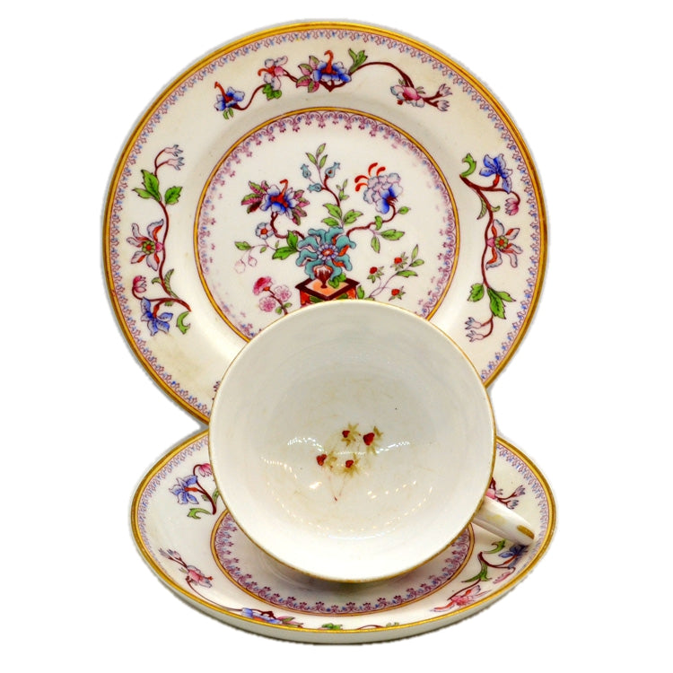Antique Royal Worcester B800 Floral China Teacup 1905