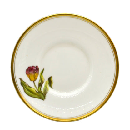 Royal Worcester China Tulip Saucer 1960